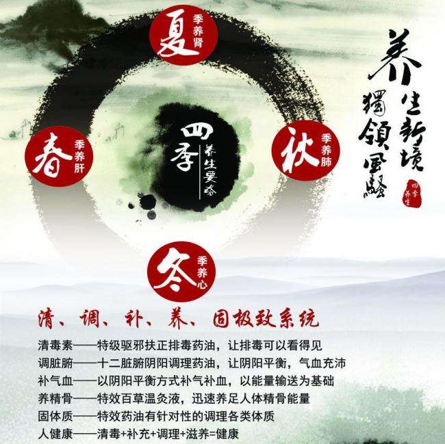 荷兰驾照样本资料